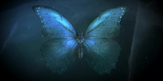 Mehmet Ali Deniz Yazio: Kelebek Etkisi ve İnsan