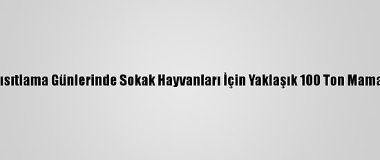 İzmir'de Kısıtlama Günlerinde Sokak Hayvanları İçin Yaklaşık 100 Ton Mama Dağıtıldı