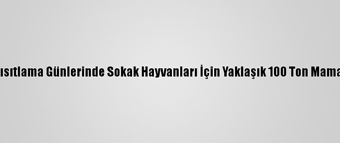 İzmir'de Kısıtlama Günlerinde Sokak Hayvanları İçin Yaklaşık 100 Ton Mama Dağıtıldı