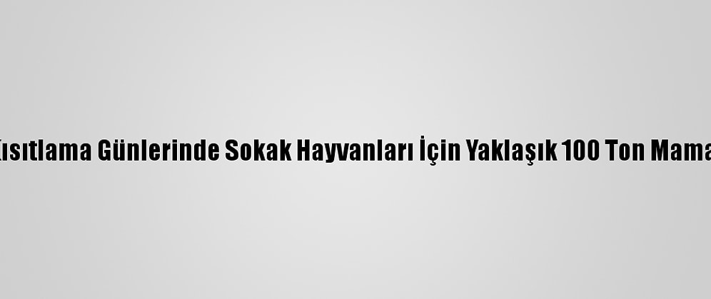 İzmir'de Kısıtlama Günlerinde Sokak Hayvanları İçin Yaklaşık 100 Ton Mama Dağıtıldı