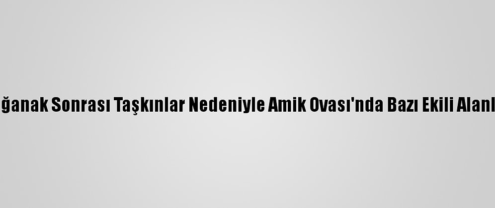 Hatay'da Sağanak Sonrası Taşkınlar Nedeniyle Amik Ovası'nda Bazı Ekili Alanları Su Bastı