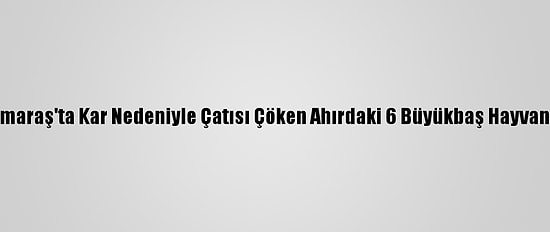 Kahramanmaraş'ta Kar Nedeniyle Çatısı Çöken Ahırdaki 6 Büyükbaş Hayvan Telef Oldu