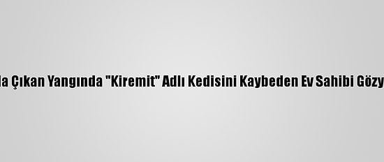 Giresun'da Çıkan Yangında "Kiremit" Adlı Kedisini Kaybeden Ev Sahibi Gözyaşı Döktü