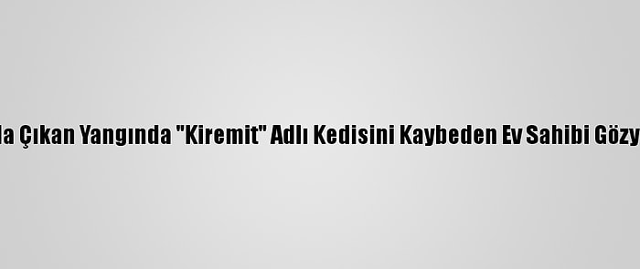 Giresun'da Çıkan Yangında "Kiremit" Adlı Kedisini Kaybeden Ev Sahibi Gözyaşı Döktü