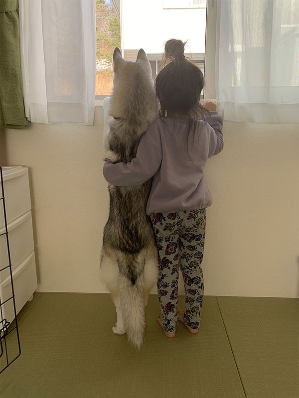 10. "2 любопытные Варвары".