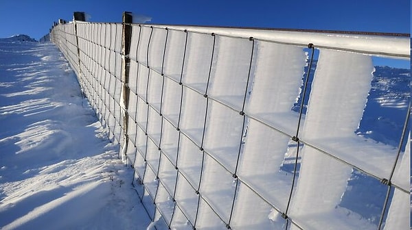 8. Вот, что происходит, когда сильный постоянный ветер и лед встречаются за забором