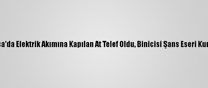 Manisa'da Elektrik Akımına Kapılan At Telef Oldu, Binicisi Şans Eseri Kurtuldu