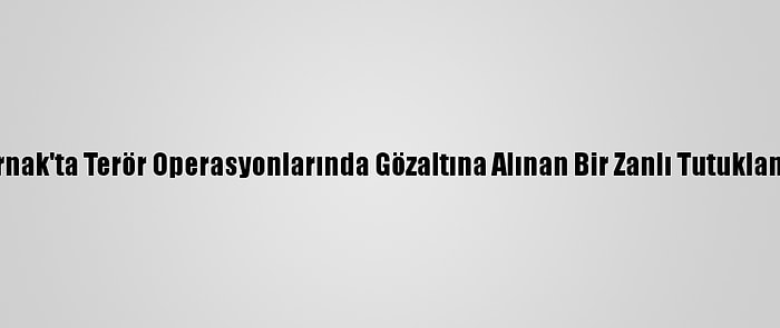 Şırnak'ta Terör Operasyonlarında Gözaltına Alınan Bir Zanlı Tutuklandı