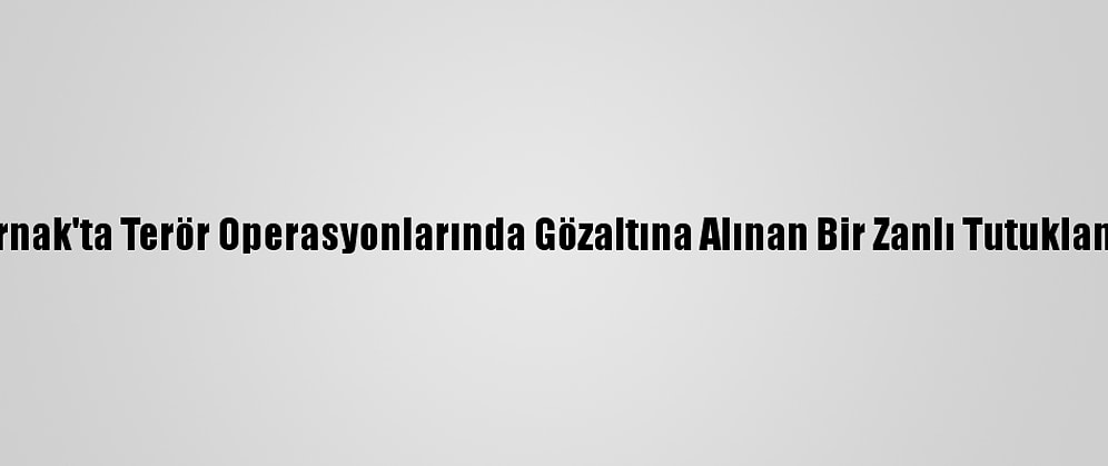 Şırnak'ta Terör Operasyonlarında Gözaltına Alınan Bir Zanlı Tutuklandı