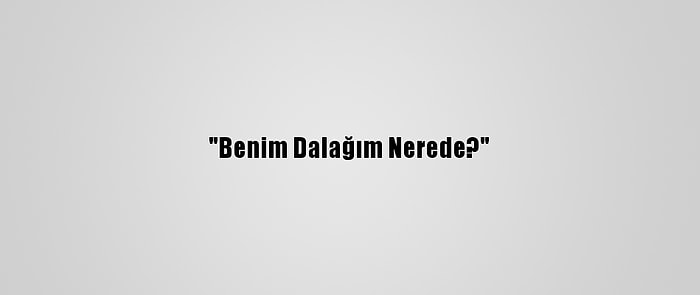 "Benim Dalağım Nerede?"