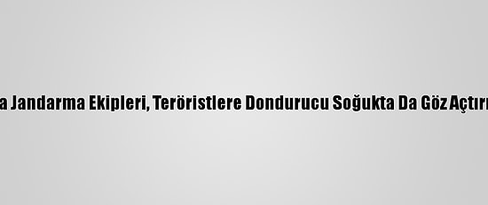Muş'ta Jandarma Ekipleri, Teröristlere Dondurucu Soğukta Da Göz Açtırmıyor