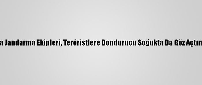 Muş'ta Jandarma Ekipleri, Teröristlere Dondurucu Soğukta Da Göz Açtırmıyor