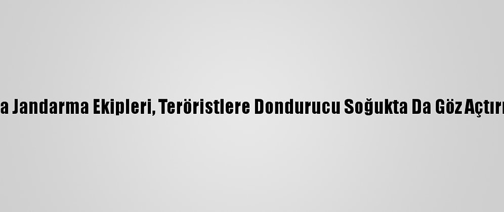 Muş'ta Jandarma Ekipleri, Teröristlere Dondurucu Soğukta Da Göz Açtırmıyor