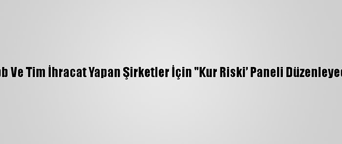 Tspb Ve Tim İhracat Yapan Şirketler İçin "Kur Riski’ Paneli Düzenleyecek