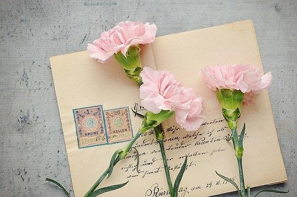 Mektup/kartpostal yazmak