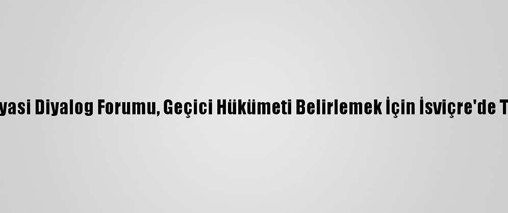 Libya Siyasi Diyalog Forumu, Geçici Hükümeti Belirlemek İçin İsviçre'de Toplandı