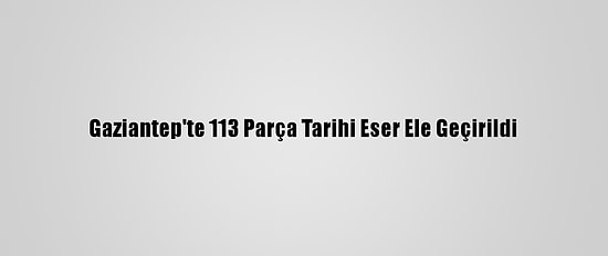 Gaziantep'te 113 Parça Tarihi Eser Ele Geçirildi