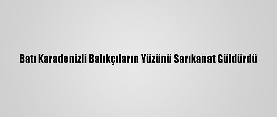 Batı Karadenizli Balıkçıların Yüzünü Sarıkanat Güldürdü