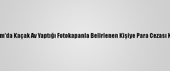 Erzurum'da Kaçak Av Yaptığı Fotokapanla Belirlenen Kişiye Para Cezası Kesildi