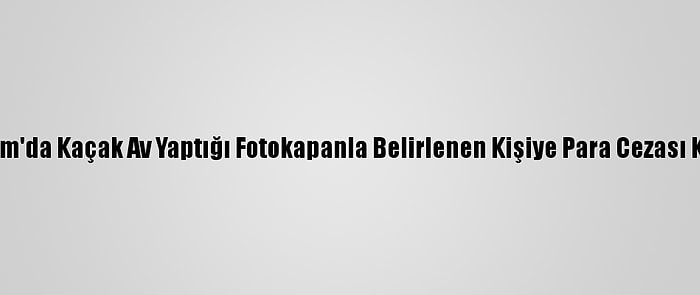 Erzurum'da Kaçak Av Yaptığı Fotokapanla Belirlenen Kişiye Para Cezası Kesildi