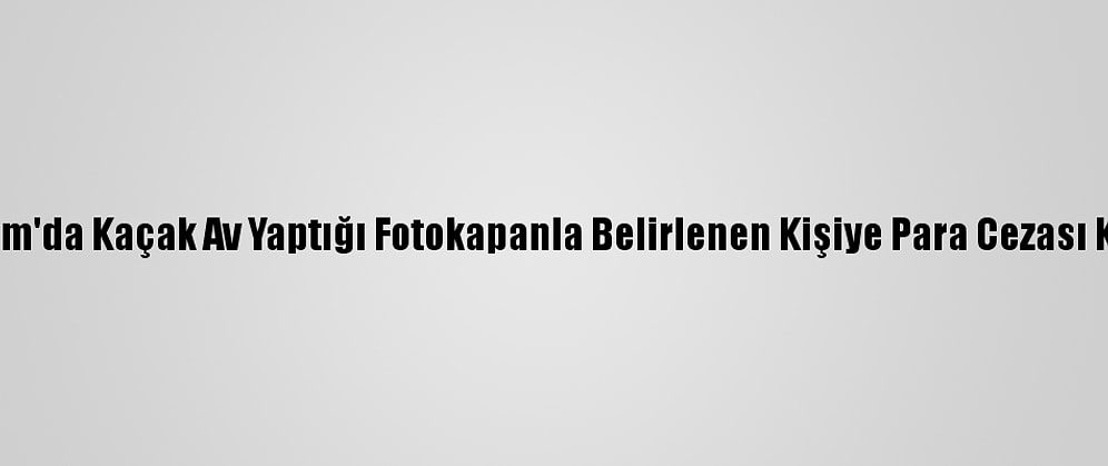 Erzurum'da Kaçak Av Yaptığı Fotokapanla Belirlenen Kişiye Para Cezası Kesildi