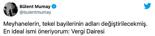 'Meyhane' İsmine Getirilen Yasak Alay Konusu Oldu: 'Rehabilitasyon Merkezi Diyelim...'