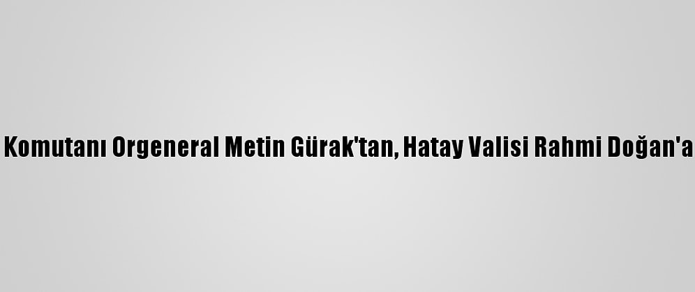 2. Ordu Komutanı Orgeneral Metin Gürak'tan, Hatay Valisi Rahmi Doğan'a Ziyaret