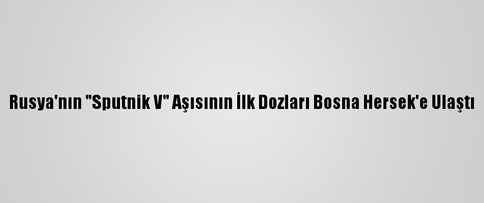 Rusya'nın "Sputnik V" Aşısının İlk Dozları Bosna Hersek'e Ulaştı