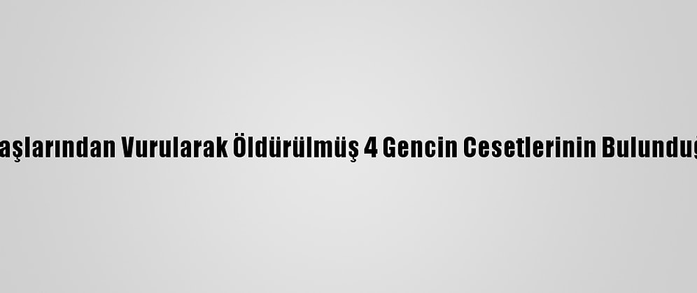 Güncelleme 3 - Manisa'da 3'Ü Başlarından Vurularak Öldürülmüş 4 Gencin Cesetlerinin Bulunduğu Alanda Yeni İnceleme Yapıldı