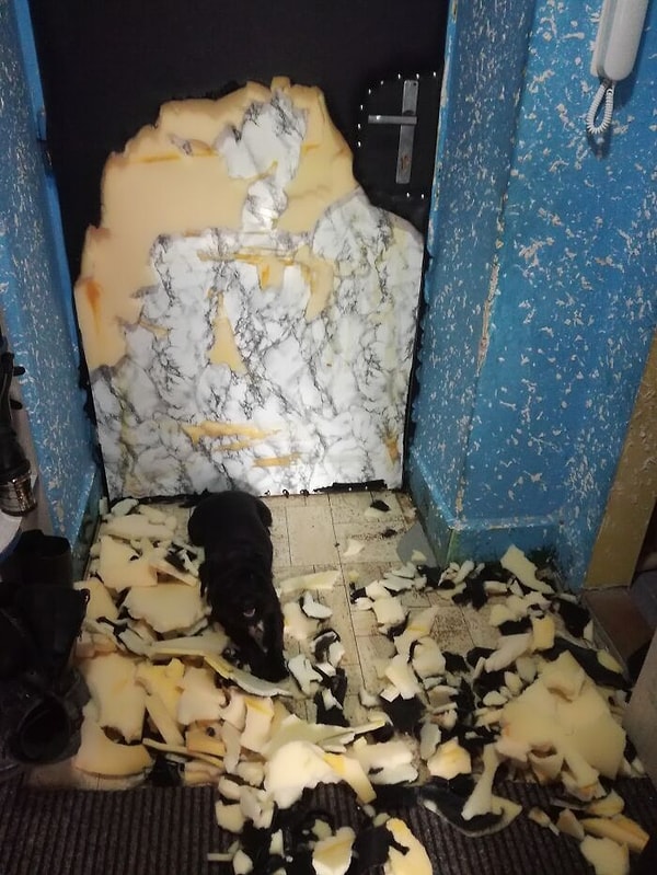 3. В одно время мы говорили о том, чтобы сменить дверь. Видимо она нас услышала и хотела помочь