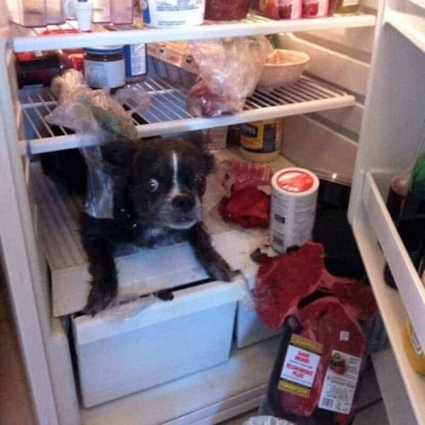 6. Прихожу я значит домой...