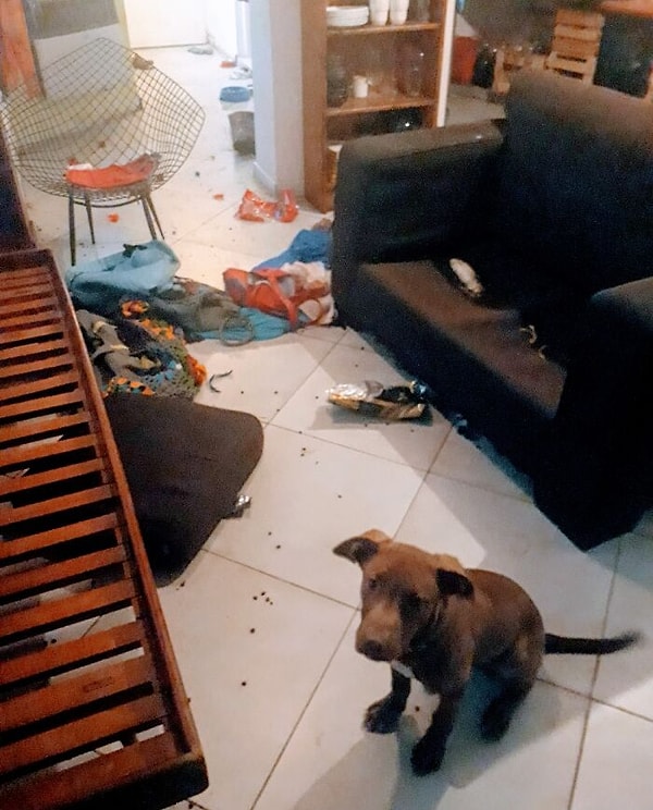 9. Когда признал свою вину