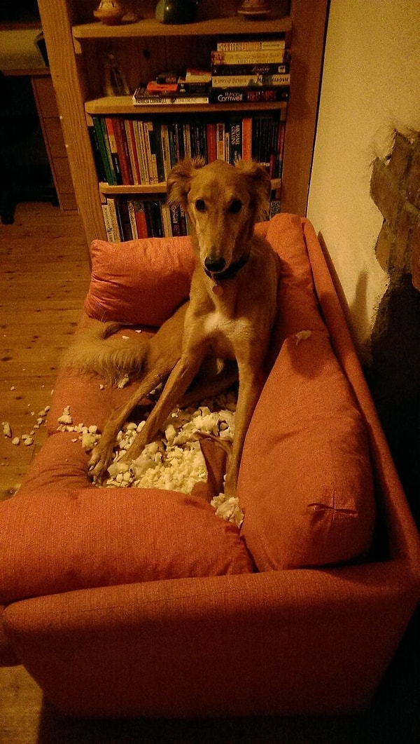 11. Когда я пришел, то это уже было - Честное пионерское!