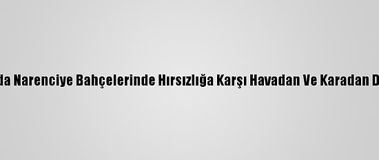 Adana'da Narenciye Bahçelerinde Hırsızlığa Karşı Havadan Ve Karadan Denetim