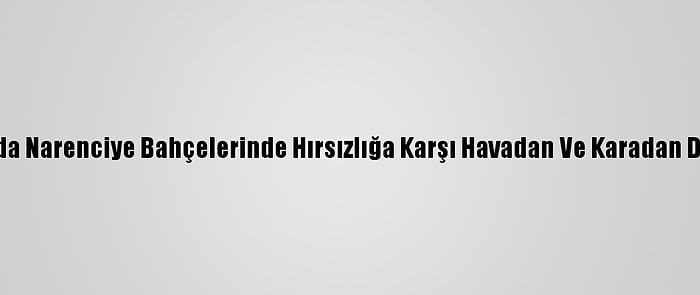 Adana'da Narenciye Bahçelerinde Hırsızlığa Karşı Havadan Ve Karadan Denetim