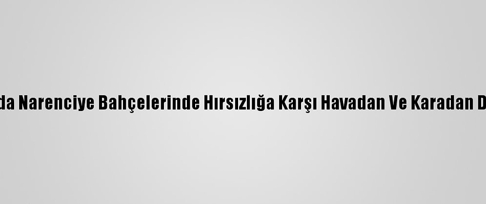 Adana'da Narenciye Bahçelerinde Hırsızlığa Karşı Havadan Ve Karadan Denetim