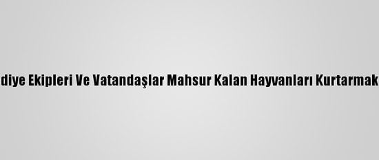 Kırklareli'nde Belediye Ekipleri Ve Vatandaşlar Mahsur Kalan Hayvanları Kurtarmak İçin Seferber Oldu