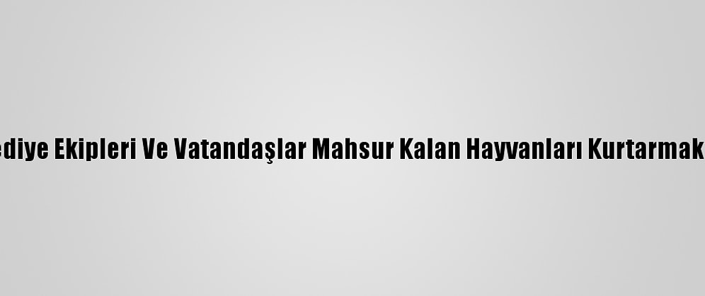 Kırklareli'nde Belediye Ekipleri Ve Vatandaşlar Mahsur Kalan Hayvanları Kurtarmak İçin Seferber Oldu