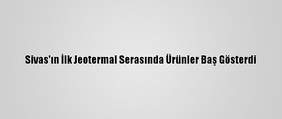 Sivas'ın İlk Jeotermal Serasında Ürünler Baş Gösterdi