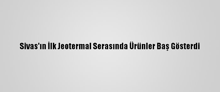 Sivas'ın İlk Jeotermal Serasında Ürünler Baş Gösterdi