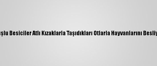 Muşlu Besiciler Atlı Kızaklarla Taşıdıkları Otlarla Hayvanlarını Besliyor