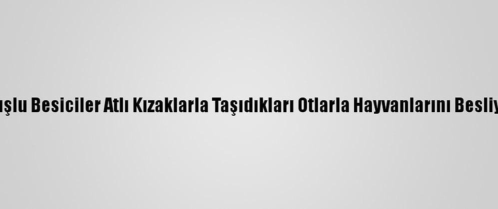 Muşlu Besiciler Atlı Kızaklarla Taşıdıkları Otlarla Hayvanlarını Besliyor