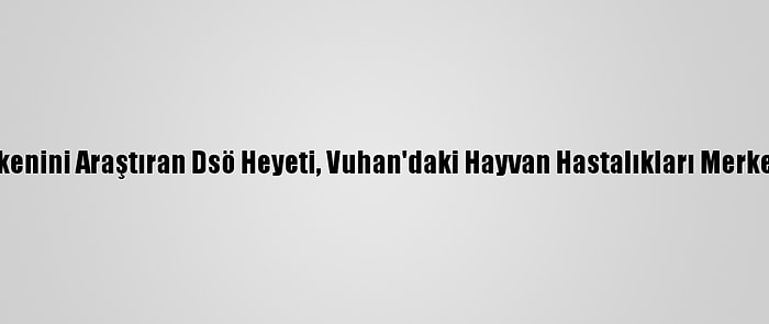 Kovid-19’Un Kökenini Araştıran Dsö Heyeti, Vuhan'daki Hayvan Hastalıkları Merkezini Ziyaret Etti