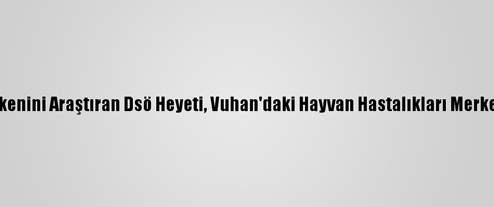 Kovid-19’Un Kökenini Araştıran Dsö Heyeti, Vuhan'daki Hayvan Hastalıkları Merkezini Ziyaret Etti