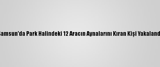 Samsun'da Park Halindeki 12 Aracın Aynalarını Kıran Kişi Yakalandı