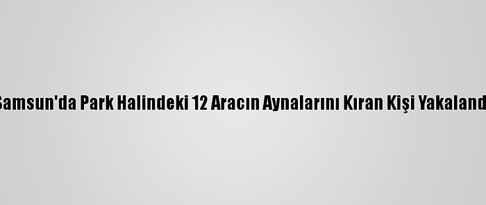 Samsun'da Park Halindeki 12 Aracın Aynalarını Kıran Kişi Yakalandı