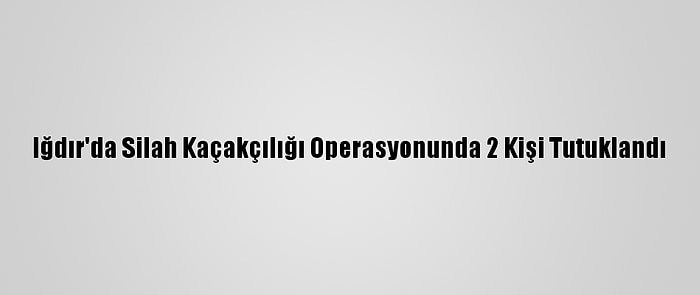 Iğdır'da Silah Kaçakçılığı Operasyonunda 2 Kişi Tutuklandı