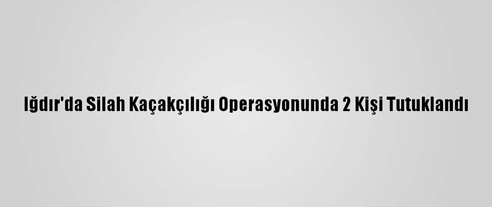 Iğdır'da Silah Kaçakçılığı Operasyonunda 2 Kişi Tutuklandı