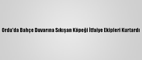 Ordu'da Bahçe Duvarına Sıkışan Köpeği İtfaiye Ekipleri Kurtardı