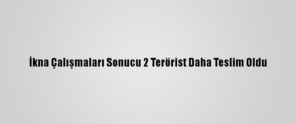 İkna Çalışmaları Sonucu 2 Terörist Daha Teslim Oldu